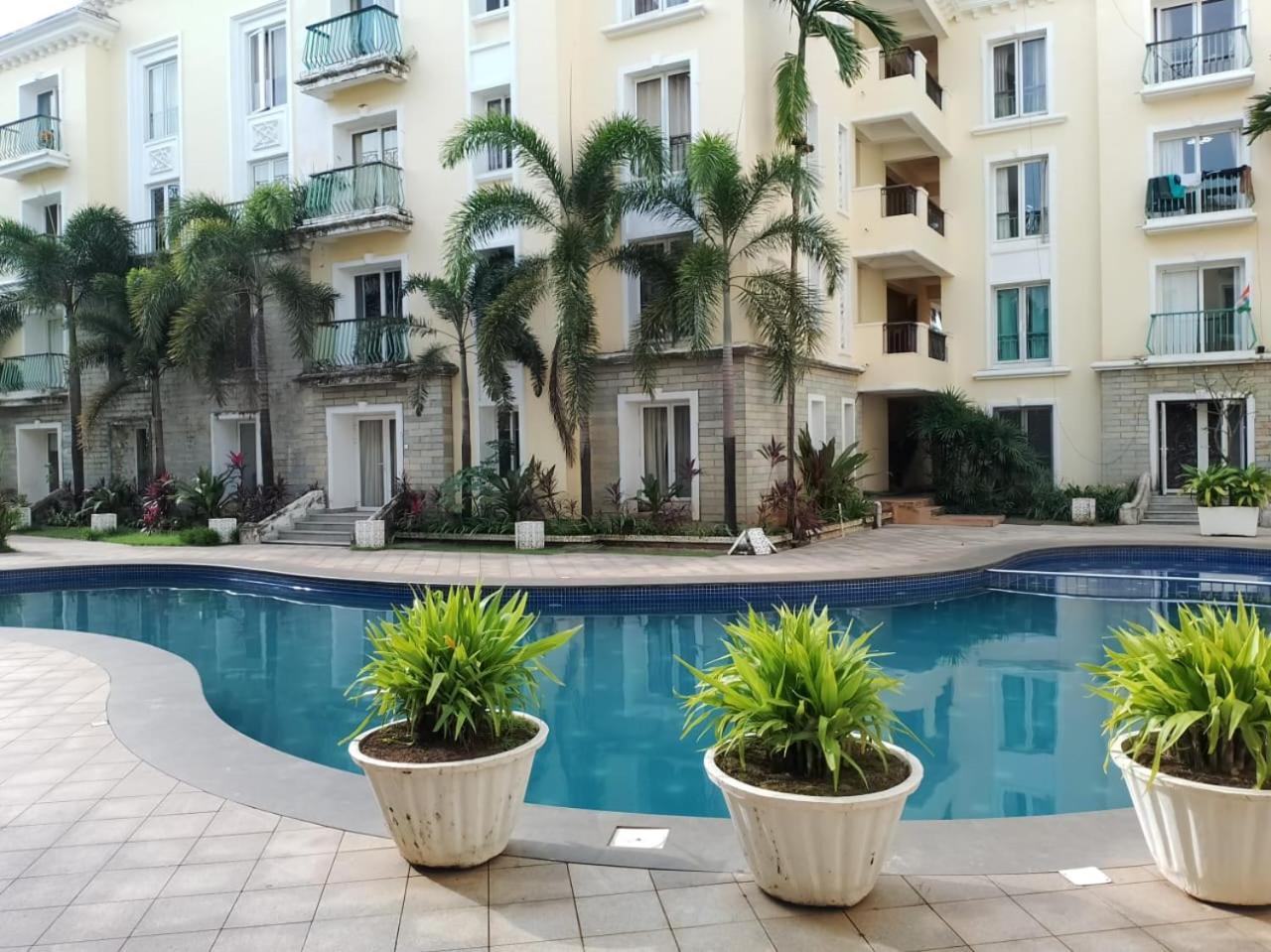 Apartment Blueberry Comfort 2bhk Luxury